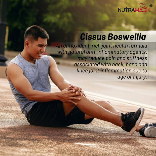 Nutramagik Cissus Boswellia - Joint Health Supplement - 60 Capsules